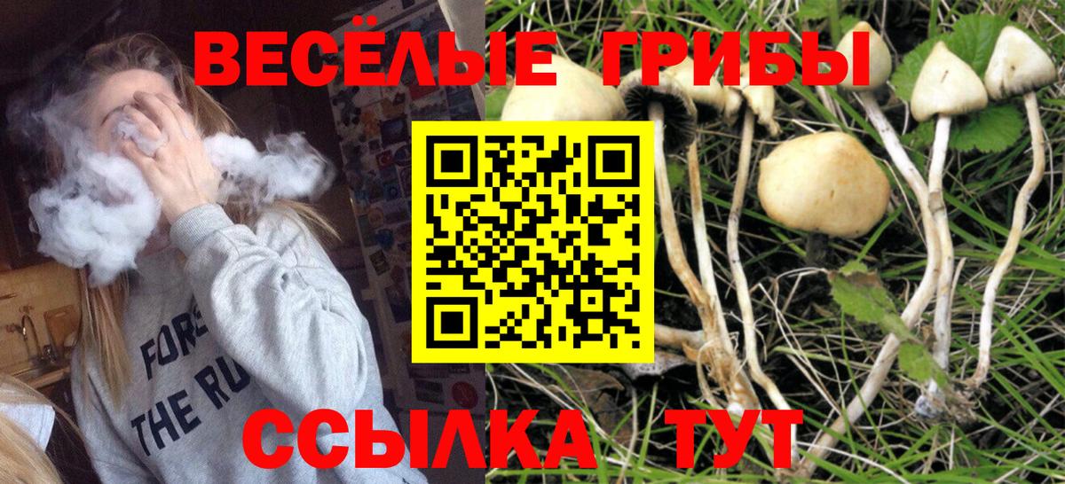 Нягань  Галлюциногенные грибы GOLDEN TEACHER  Вход с VPN 