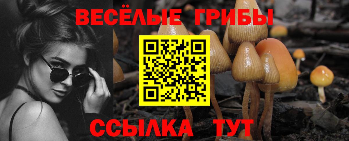 Галлюциногенные грибы MAGIC MUSHROOMS Нягань